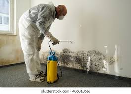 Mold Removal for HVAC Installations in Erie, CO